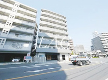 アルファコート西川口Ⅳの画像