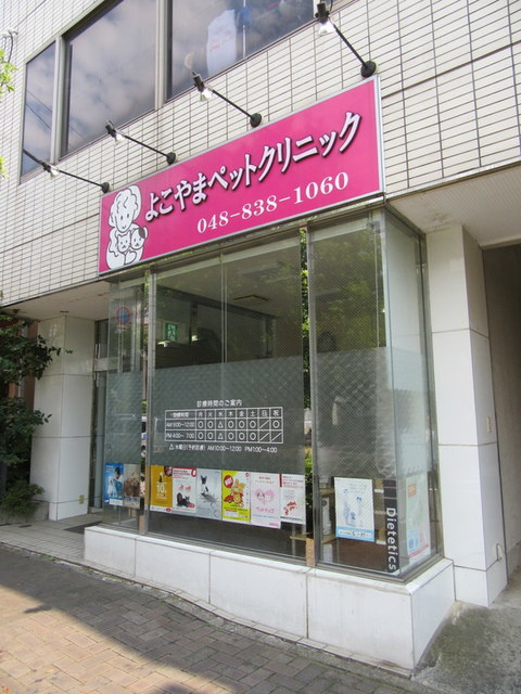 ＯＴＮ　ＨＡＵＳのその他|よこやまペットクリニック