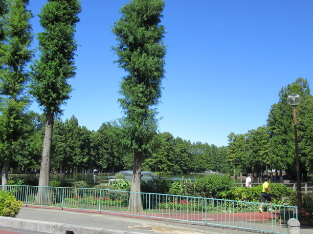 ＯＴＮ　ＨＡＵＳのその他|別所沼公園