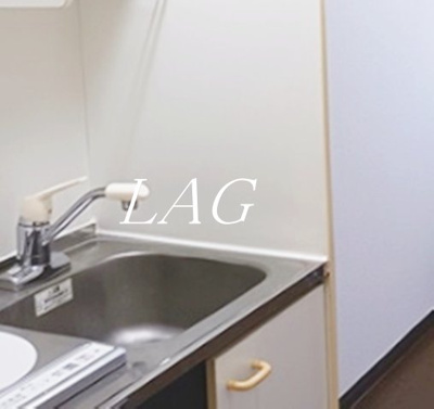 【設備】 | DIAMOND RESIDENCE堤通 | シンクです。