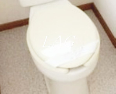 【トイレ】 | ＡＬＶＡⅡ（アルバ） | トイレです。