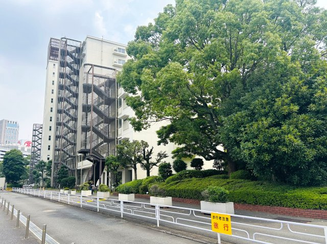 横浜駅から歩いて７分ですって！横浜駅が最寄りって、神奈川の最上級って感じがします！みなとみらいとはちょっと違うヨコハマって感じがちょっとイイ！！『パークハイツ横浜』リノベーション