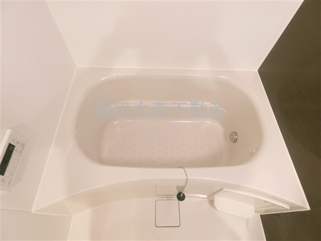 アピチェ池上の浴室