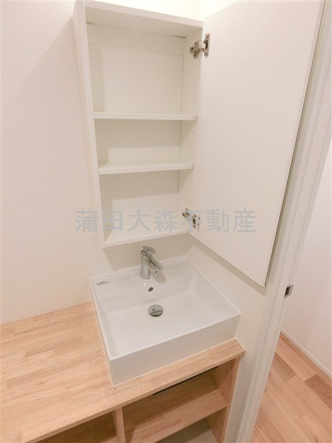 アピチェ池上の洗面所