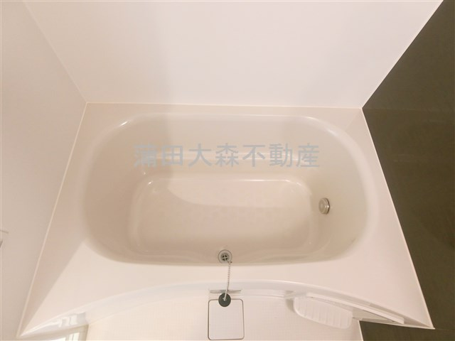 アピチェ池上の浴室