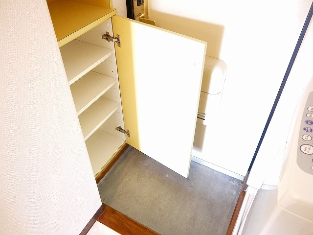アイリスハイツ2号館の収納|たっぷりとした収納スペースです