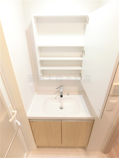ドゥーエ梅屋敷の洗面所