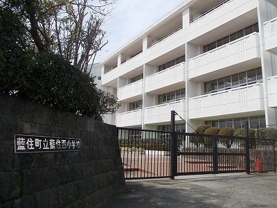 オリーブハウス　Ｂの周辺|藍住西小学校まで750m