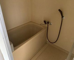 ブルーシャイン桃山の浴室