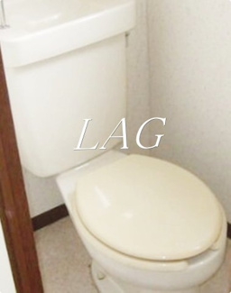 【トイレ】 | 青柳コーポ | トイレです。