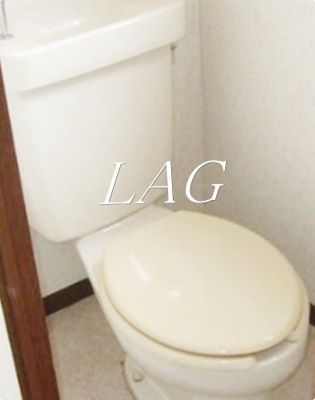 【トイレ】 | 青柳コーポ | トイレです。