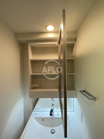 エステムコート北堀江Ⅱの洗面所|エステムコート北堀江Ⅱ　洗面収納