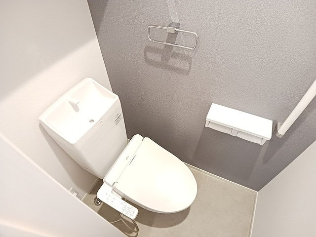 【トイレ】 | デュルセ大財 | トイレも気になるポイント