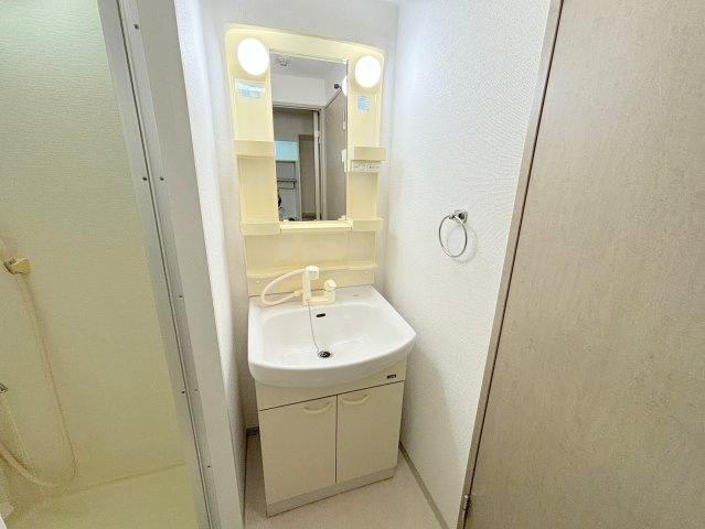 カーサあわじの洗面所