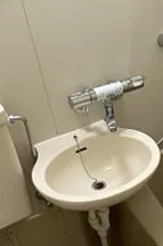 エルスタンザ千早の洗面所