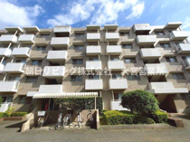 蓮田駅前住宅 4号棟の画像
