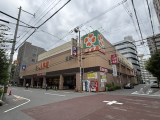 グランドシーズ心斎橋Ⅱの周辺|スーパーまで徒歩17分