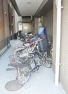 プランドール・コダイ