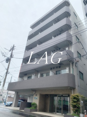 【外観】 | スカイコート武蔵新田 | 外観です。