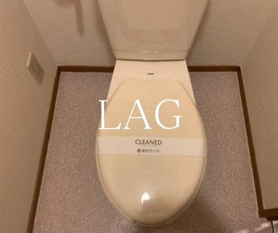 【トイレ】 | カーサグランデ本郷 | トイレです。
