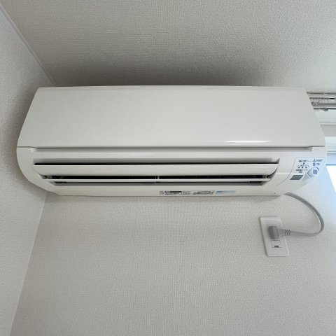 カタラーナのその他