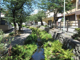 北沢川緑道まで755m