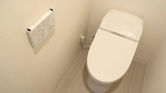 ＣＯＭＦＯＲＴ　ＲＥＳＩＤＥＮＣＥ　ＮＩＰＰＯＲＩのトイレ