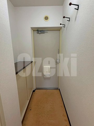 ルミエール南越谷の玄関