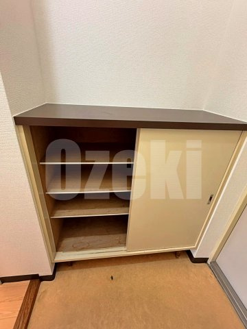 ルミエール南越谷の収納