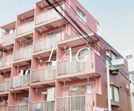 ＭＡＹＦＬＯＷＥＲ　ＭＡＮＳＩＯＮの画像
