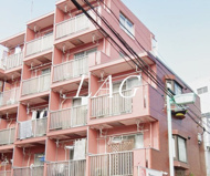 ＭＡＹＦＬＯＷＥＲ　ＭＡＮＳＩＯＮの画像