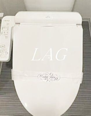 【トイレ】 | プレセダンヒルズ向島Ｅａｓｔ | トイレです。