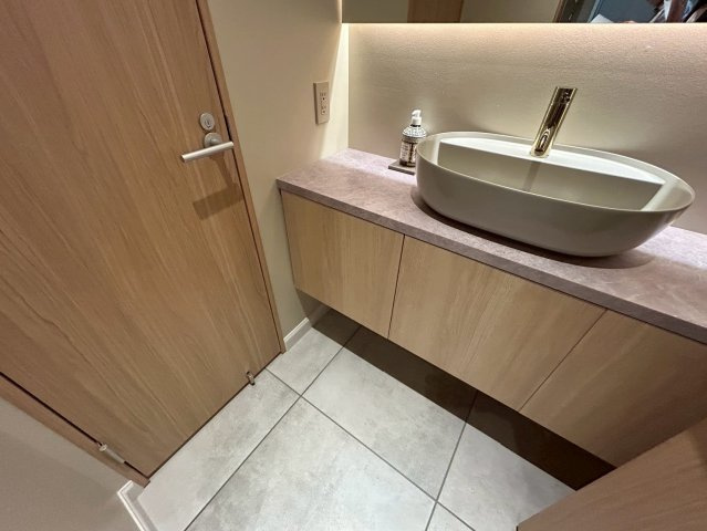 THE　V-CITY麻布十番　CENTREの洗面所