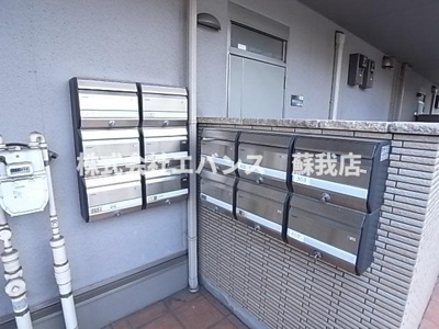  | アベニュー