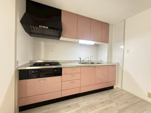 ライオンズマンション鶴舞|名古屋市の賃貸ならMy賃貸のキッチン|ライオンズマンション鶴舞