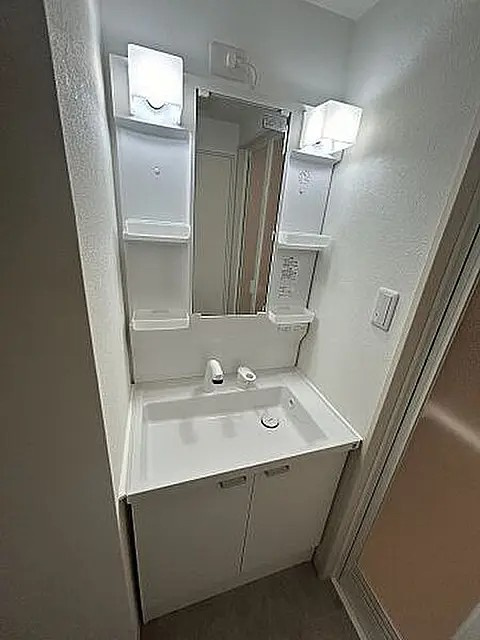 神戸市中央区北長狭通８丁目の賃貸マンションの洗面所