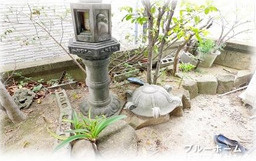 【庭】 | 堺市北区東浅香山町2丁