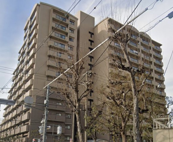 サニーコットン住之江