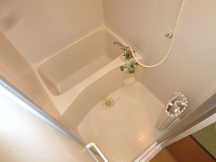 バストイレ別でオススメです♪