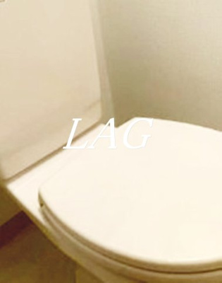 【トイレ】 | 宇佐見マンション | トイレです。