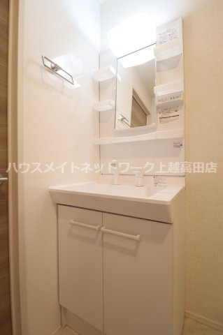 シャインピークス上越妙高 Ｂの洗面所|シャワー洗面台