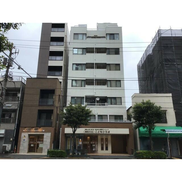 グリーンシャンクの画像