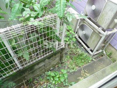 【バルコニー】 | エル・沼袋
