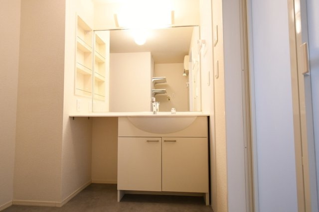 D-room二口の洗面所