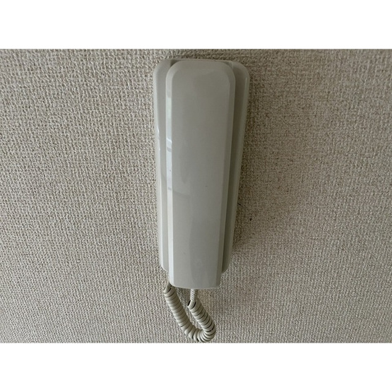 【その他】 | キャッスル・日野台 | 室内洗濯機置き場
