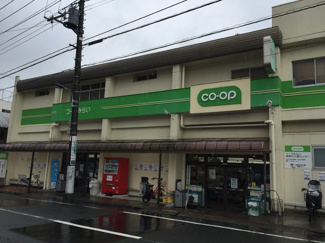 コープみらい ミニコープ滝野川店まで260ｍ