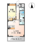 ゼルコバの画像