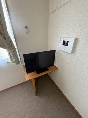 レオパレスグリーンハイムのその他
