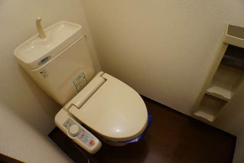 プレザントハウスＭ Ⅴのトイレ