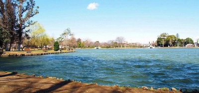 【周辺】 | サンリバー | 水城公園まで300m